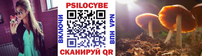 Псилоцибиновые грибы MAGIC MUSHROOMS  Тында 